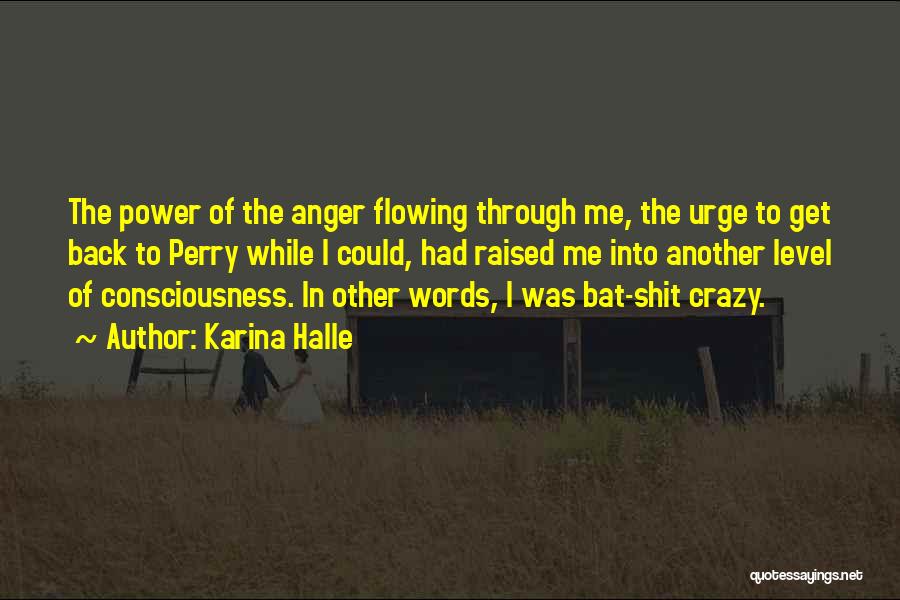 Karina Halle Quotes: The Power Of The Anger Flowing Through Me, The Urge To Get Back To Perry While I Could, Had Raised