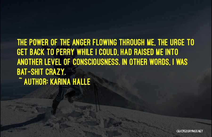 Karina Halle Quotes: The Power Of The Anger Flowing Through Me, The Urge To Get Back To Perry While I Could, Had Raised