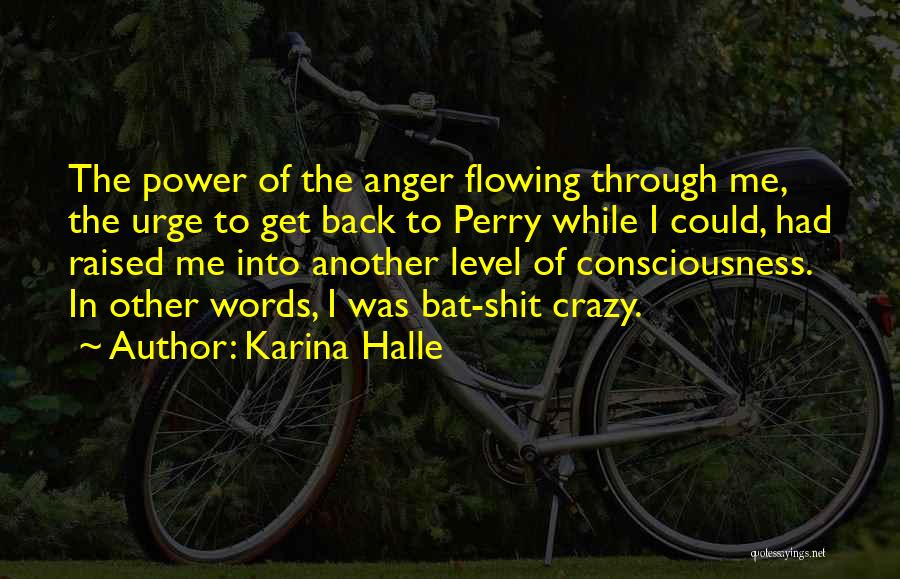 Karina Halle Quotes: The Power Of The Anger Flowing Through Me, The Urge To Get Back To Perry While I Could, Had Raised