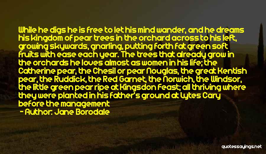 Jane Borodale Quotes: While He Digs He Is Free To Let His Mind Wander, And He Dreams His Kingdom Of Pear Trees In