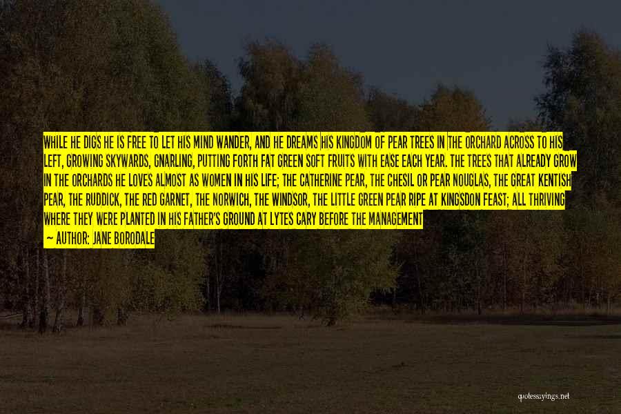 Jane Borodale Quotes: While He Digs He Is Free To Let His Mind Wander, And He Dreams His Kingdom Of Pear Trees In