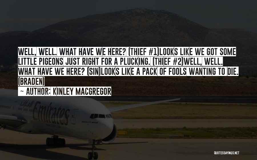 Kinley MacGregor Quotes: Well, Well. What Have We Here? (thief #1)looks Like We Got Some Little Pigeons Just Right For A Plucking. (thief