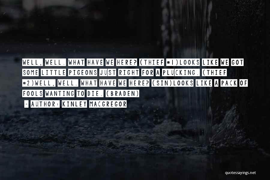 Kinley MacGregor Quotes: Well, Well. What Have We Here? (thief #1)looks Like We Got Some Little Pigeons Just Right For A Plucking. (thief