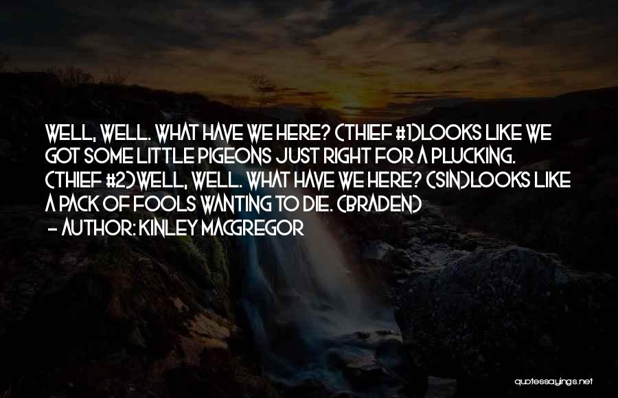 Kinley MacGregor Quotes: Well, Well. What Have We Here? (thief #1)looks Like We Got Some Little Pigeons Just Right For A Plucking. (thief