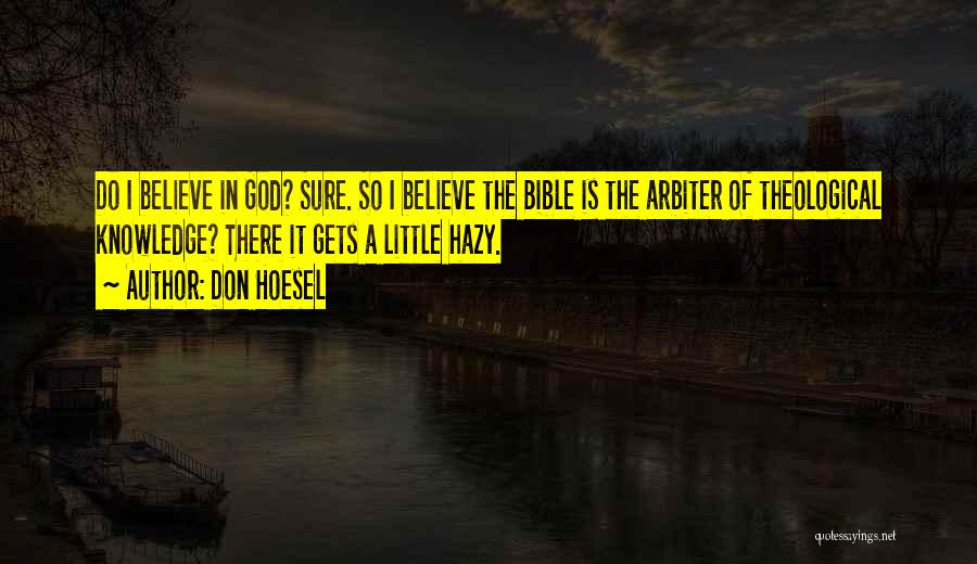 Don Hoesel Quotes: Do I Believe In God? Sure. So I Believe The Bible Is The Arbiter Of Theological Knowledge? There It Gets