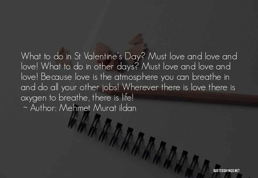 Mehmet Murat Ildan Quotes: What To Do In St Valentine's Day? Must Love And Love And Love! What To Do In Other Days? Must