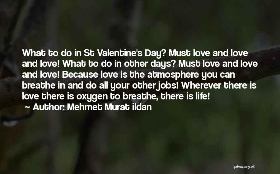 Mehmet Murat Ildan Quotes: What To Do In St Valentine's Day? Must Love And Love And Love! What To Do In Other Days? Must