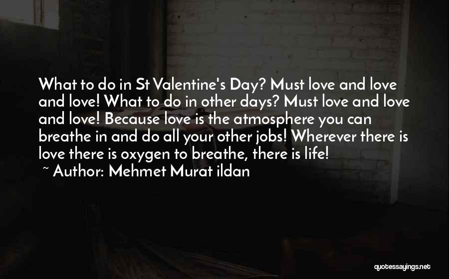 Mehmet Murat Ildan Quotes: What To Do In St Valentine's Day? Must Love And Love And Love! What To Do In Other Days? Must