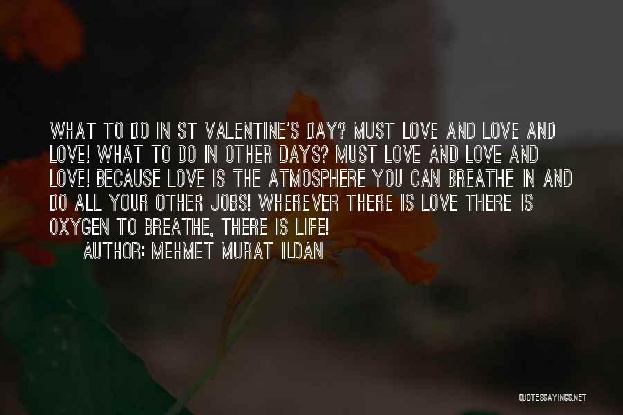 Mehmet Murat Ildan Quotes: What To Do In St Valentine's Day? Must Love And Love And Love! What To Do In Other Days? Must