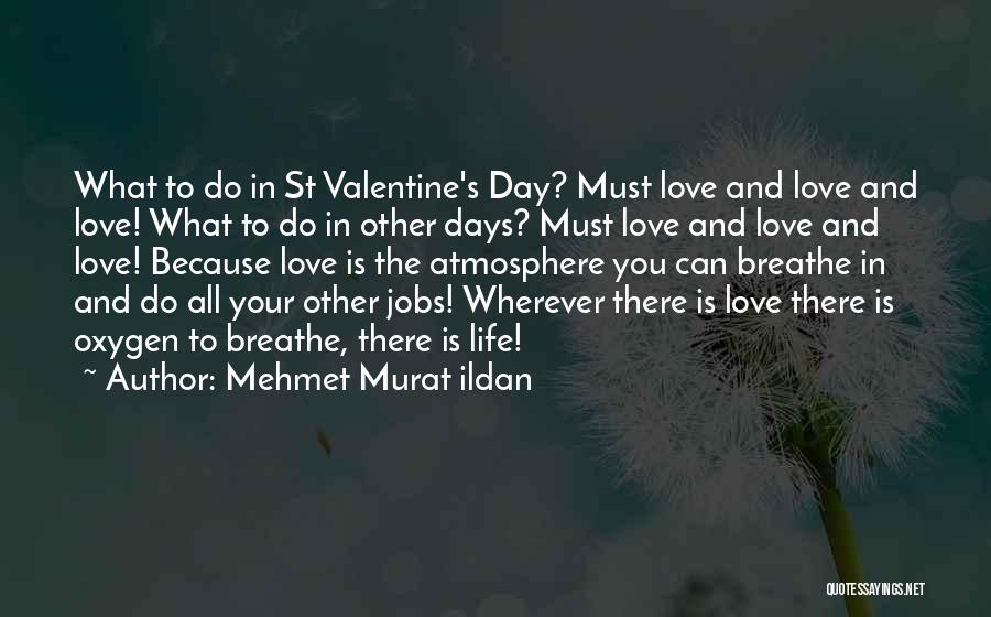 Mehmet Murat Ildan Quotes: What To Do In St Valentine's Day? Must Love And Love And Love! What To Do In Other Days? Must