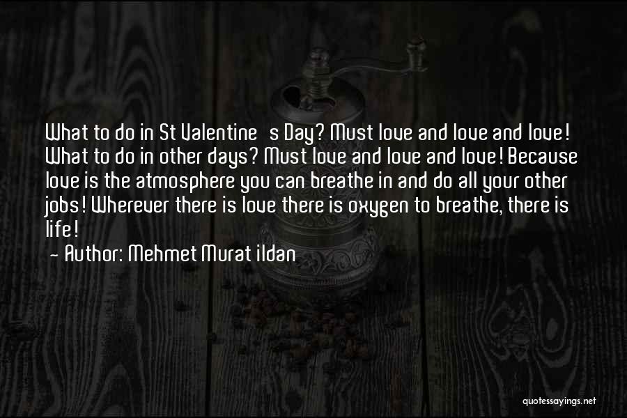 Mehmet Murat Ildan Quotes: What To Do In St Valentine's Day? Must Love And Love And Love! What To Do In Other Days? Must