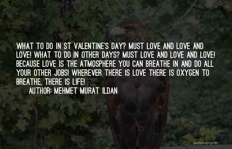 Mehmet Murat Ildan Quotes: What To Do In St Valentine's Day? Must Love And Love And Love! What To Do In Other Days? Must