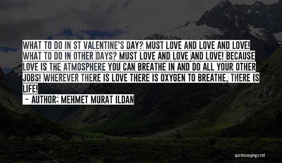 Mehmet Murat Ildan Quotes: What To Do In St Valentine's Day? Must Love And Love And Love! What To Do In Other Days? Must