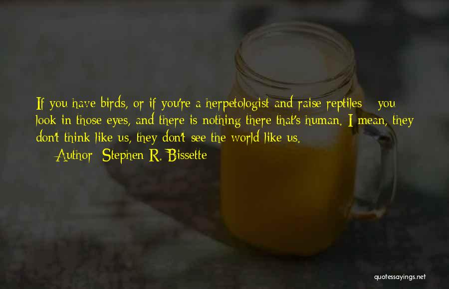 Stephen R. Bissette Quotes: If You Have Birds, Or If You're A Herpetologist And Raise Reptiles - You Look In Those Eyes, And There