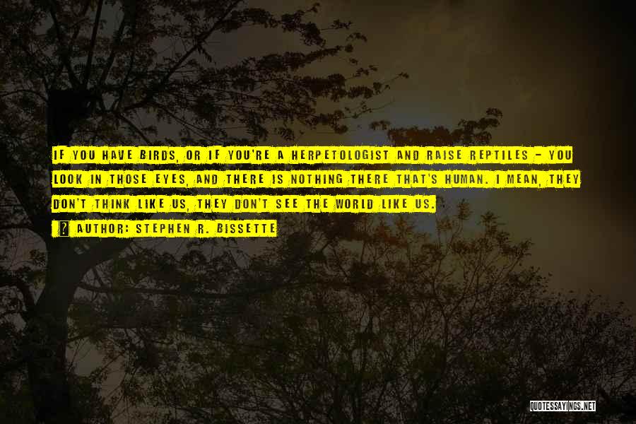 Stephen R. Bissette Quotes: If You Have Birds, Or If You're A Herpetologist And Raise Reptiles - You Look In Those Eyes, And There