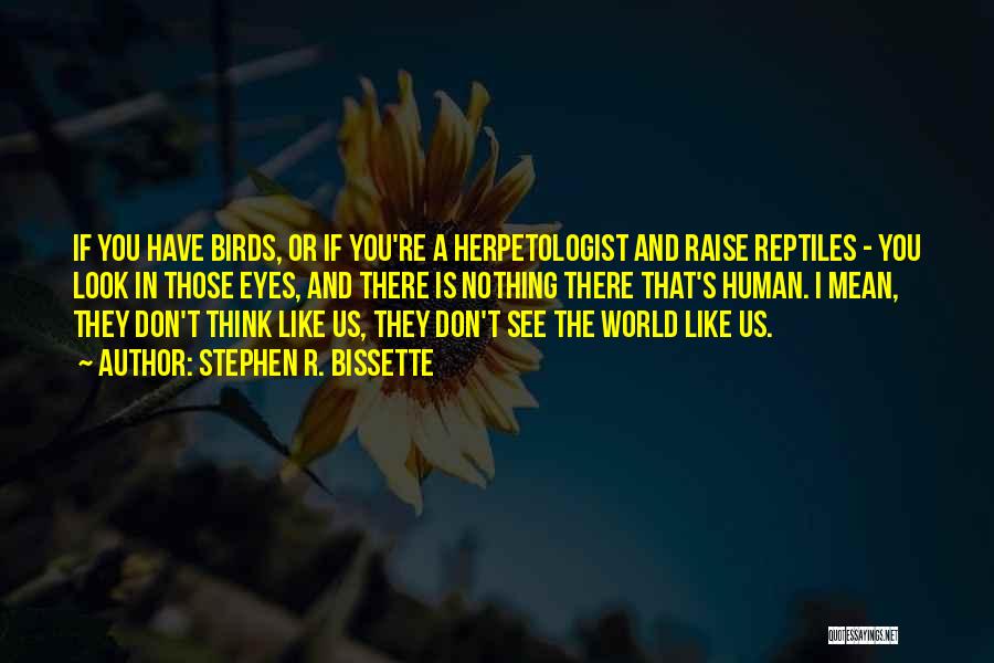 Stephen R. Bissette Quotes: If You Have Birds, Or If You're A Herpetologist And Raise Reptiles - You Look In Those Eyes, And There