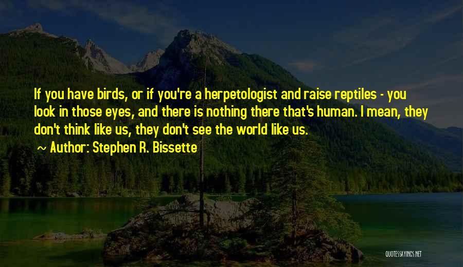 Stephen R. Bissette Quotes: If You Have Birds, Or If You're A Herpetologist And Raise Reptiles - You Look In Those Eyes, And There
