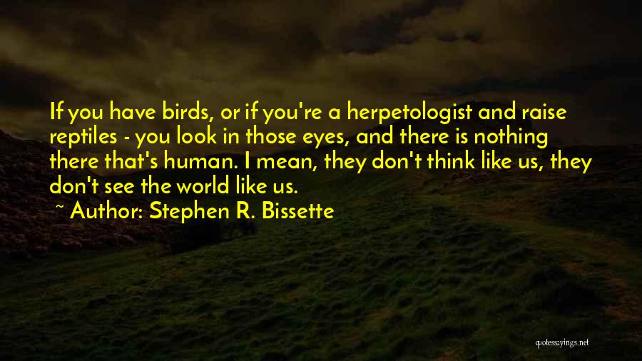 Stephen R. Bissette Quotes: If You Have Birds, Or If You're A Herpetologist And Raise Reptiles - You Look In Those Eyes, And There