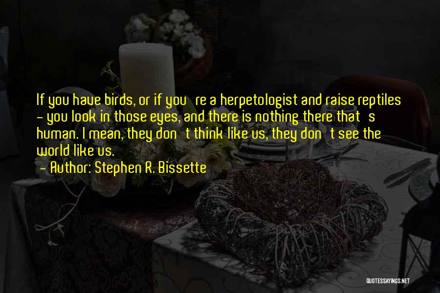 Stephen R. Bissette Quotes: If You Have Birds, Or If You're A Herpetologist And Raise Reptiles - You Look In Those Eyes, And There