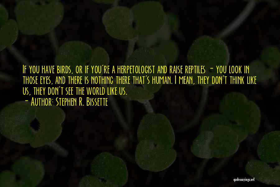 Stephen R. Bissette Quotes: If You Have Birds, Or If You're A Herpetologist And Raise Reptiles - You Look In Those Eyes, And There
