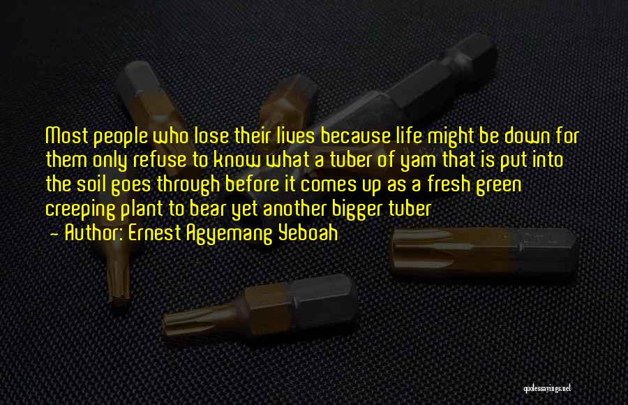 Ernest Agyemang Yeboah Quotes: Most People Who Lose Their Lives Because Life Might Be Down For Them Only Refuse To Know What A Tuber