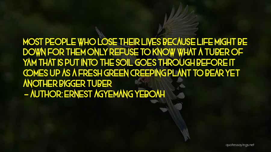 Ernest Agyemang Yeboah Quotes: Most People Who Lose Their Lives Because Life Might Be Down For Them Only Refuse To Know What A Tuber