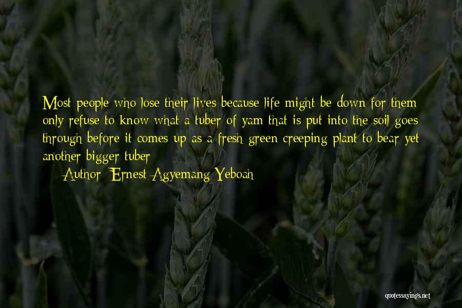 Ernest Agyemang Yeboah Quotes: Most People Who Lose Their Lives Because Life Might Be Down For Them Only Refuse To Know What A Tuber