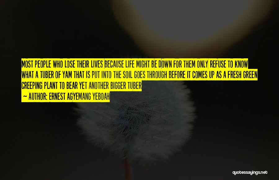 Ernest Agyemang Yeboah Quotes: Most People Who Lose Their Lives Because Life Might Be Down For Them Only Refuse To Know What A Tuber