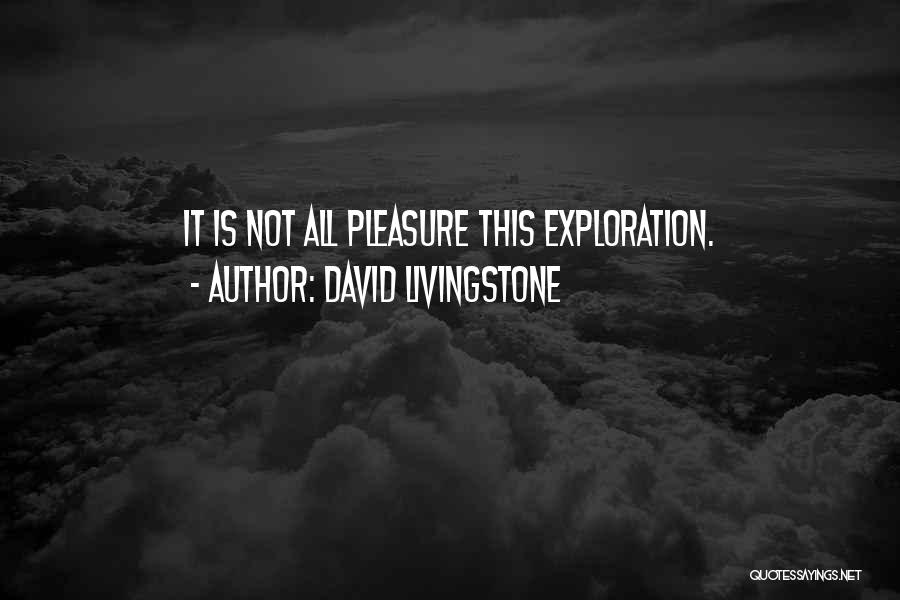 David Livingstone Quotes: It Is Not All Pleasure This Exploration.