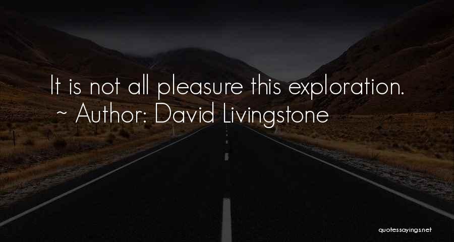 David Livingstone Quotes: It Is Not All Pleasure This Exploration.