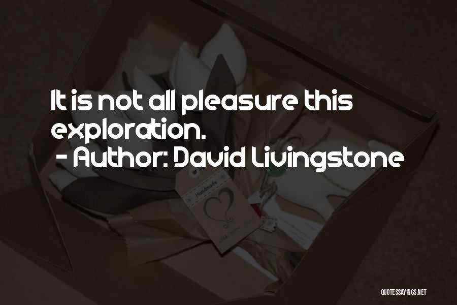 David Livingstone Quotes: It Is Not All Pleasure This Exploration.
