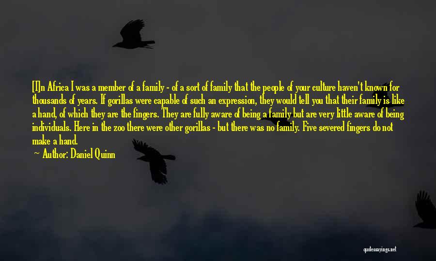 Daniel Quinn Quotes: [i]n Africa I Was A Member Of A Family - Of A Sort Of Family That The People Of Your