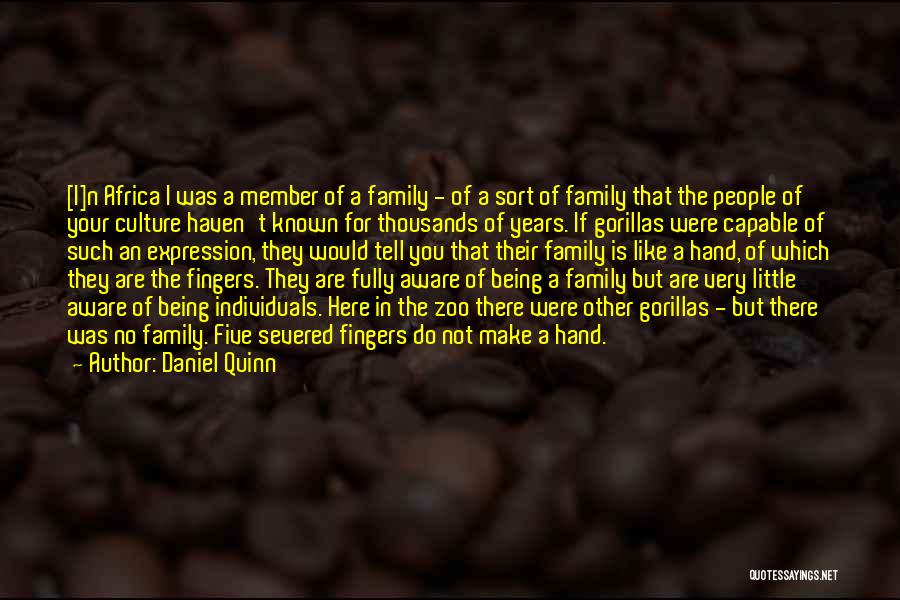 Daniel Quinn Quotes: [i]n Africa I Was A Member Of A Family - Of A Sort Of Family That The People Of Your