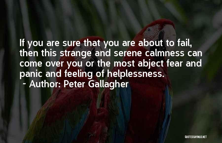 Peter Gallagher Quotes: If You Are Sure That You Are About To Fail, Then This Strange And Serene Calmness Can Come Over You