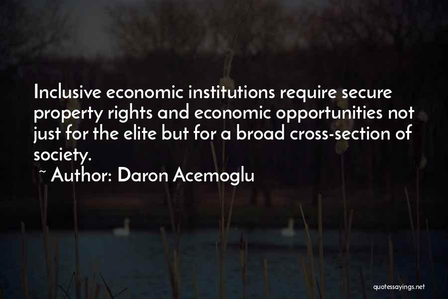 Daron Acemoglu Quotes: Inclusive Economic Institutions Require Secure Property Rights And Economic Opportunities Not Just For The Elite But For A Broad Cross-section