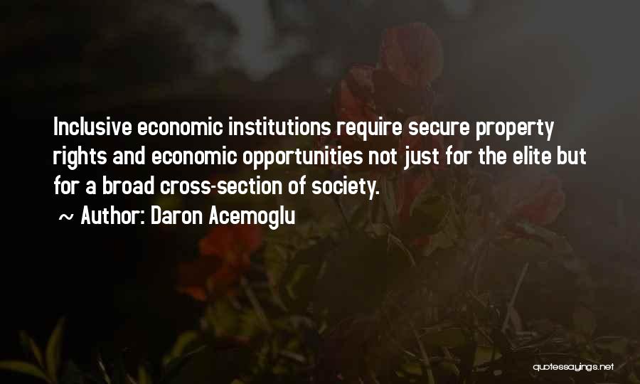 Daron Acemoglu Quotes: Inclusive Economic Institutions Require Secure Property Rights And Economic Opportunities Not Just For The Elite But For A Broad Cross-section