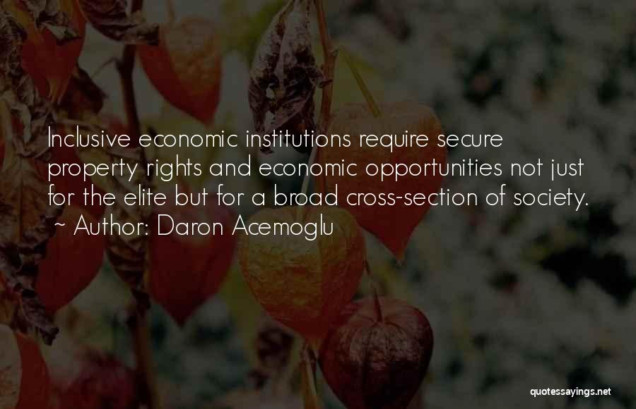 Daron Acemoglu Quotes: Inclusive Economic Institutions Require Secure Property Rights And Economic Opportunities Not Just For The Elite But For A Broad Cross-section