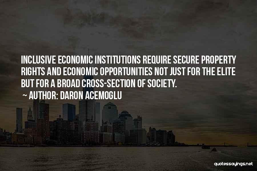 Daron Acemoglu Quotes: Inclusive Economic Institutions Require Secure Property Rights And Economic Opportunities Not Just For The Elite But For A Broad Cross-section