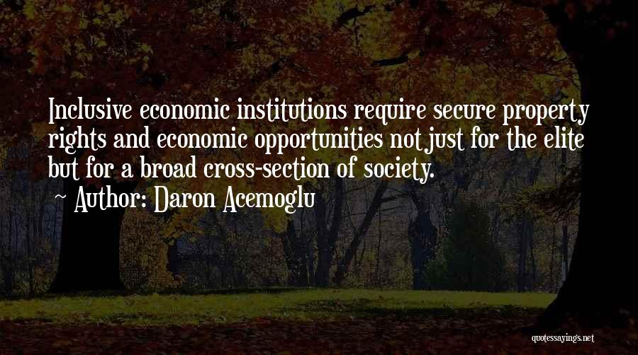 Daron Acemoglu Quotes: Inclusive Economic Institutions Require Secure Property Rights And Economic Opportunities Not Just For The Elite But For A Broad Cross-section