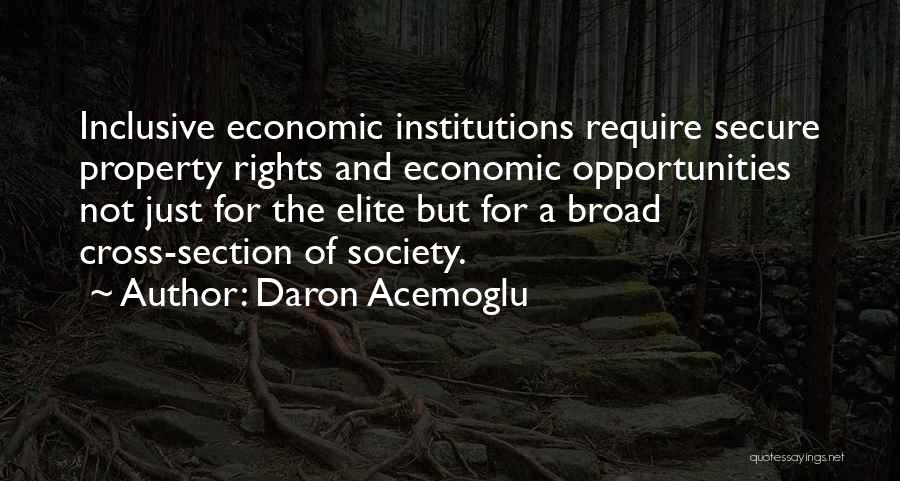 Daron Acemoglu Quotes: Inclusive Economic Institutions Require Secure Property Rights And Economic Opportunities Not Just For The Elite But For A Broad Cross-section