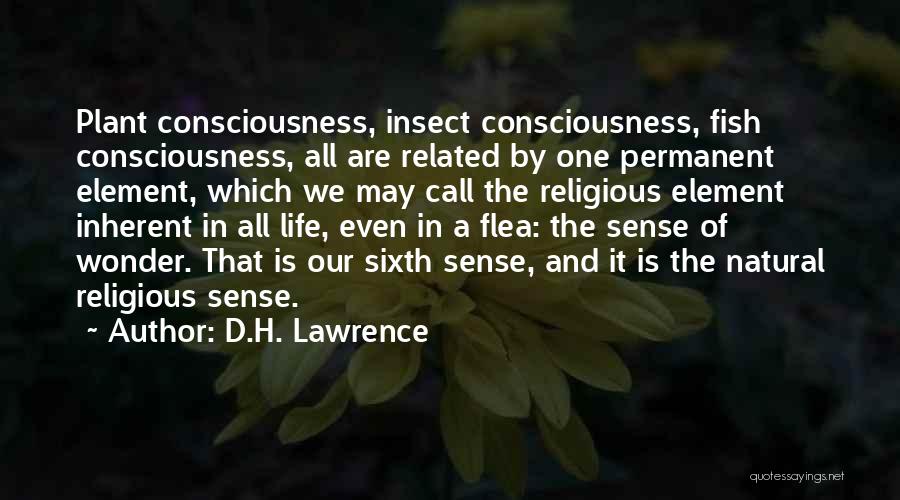 D.H. Lawrence Quotes: Plant Consciousness, Insect Consciousness, Fish Consciousness, All Are Related By One Permanent Element, Which We May Call The Religious Element