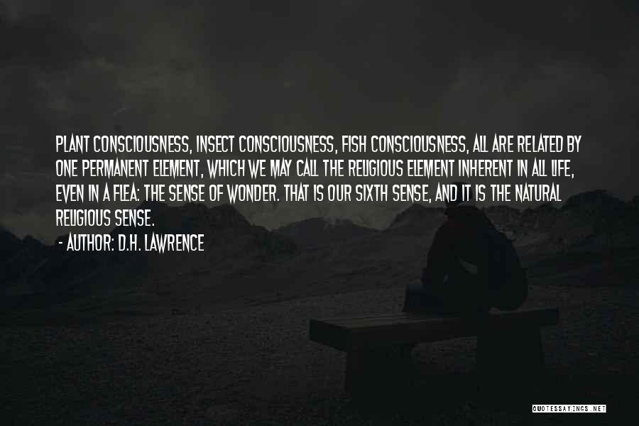 D.H. Lawrence Quotes: Plant Consciousness, Insect Consciousness, Fish Consciousness, All Are Related By One Permanent Element, Which We May Call The Religious Element