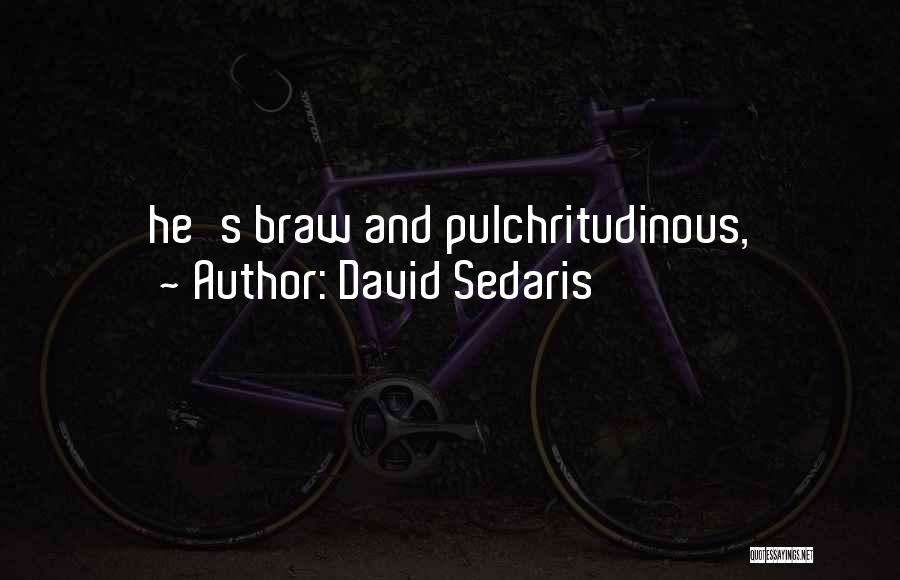 David Sedaris Quotes: He's Braw And Pulchritudinous,