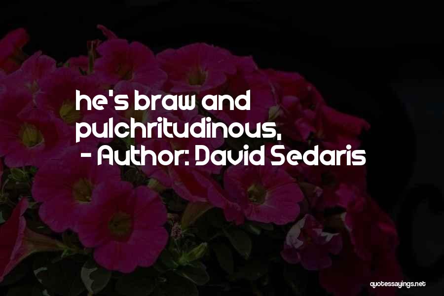 David Sedaris Quotes: He's Braw And Pulchritudinous,