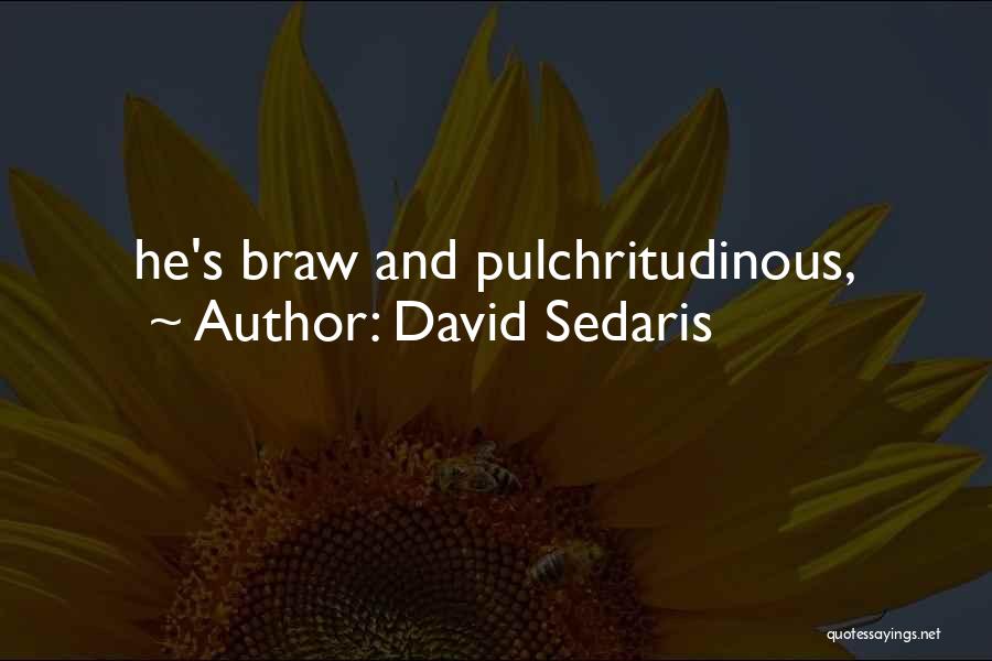David Sedaris Quotes: He's Braw And Pulchritudinous,