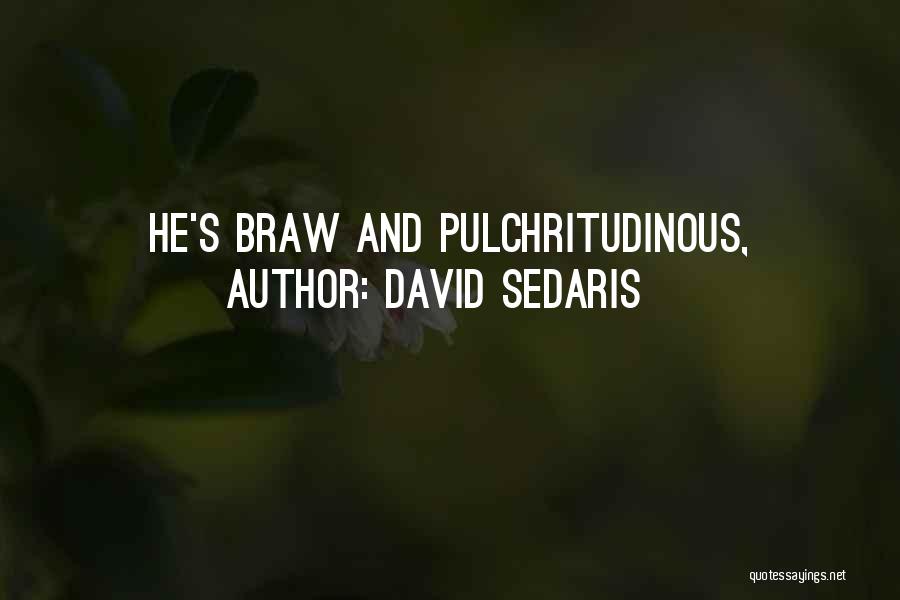 David Sedaris Quotes: He's Braw And Pulchritudinous,