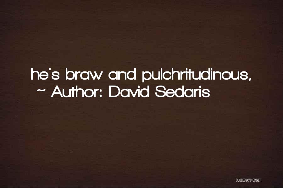 David Sedaris Quotes: He's Braw And Pulchritudinous,