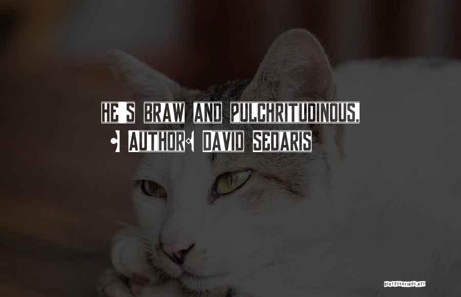David Sedaris Quotes: He's Braw And Pulchritudinous,