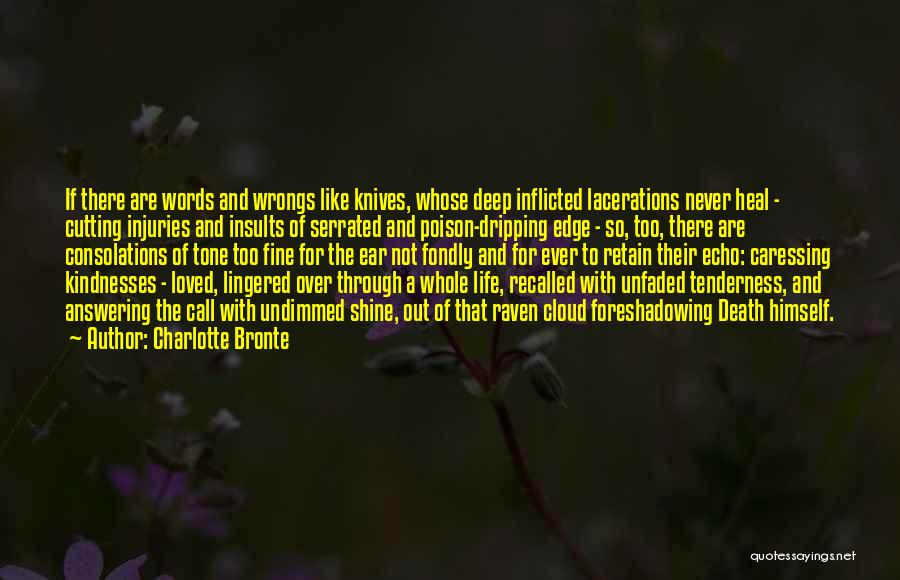 Charlotte Bronte Quotes: If There Are Words And Wrongs Like Knives, Whose Deep Inflicted Lacerations Never Heal - Cutting Injuries And Insults Of