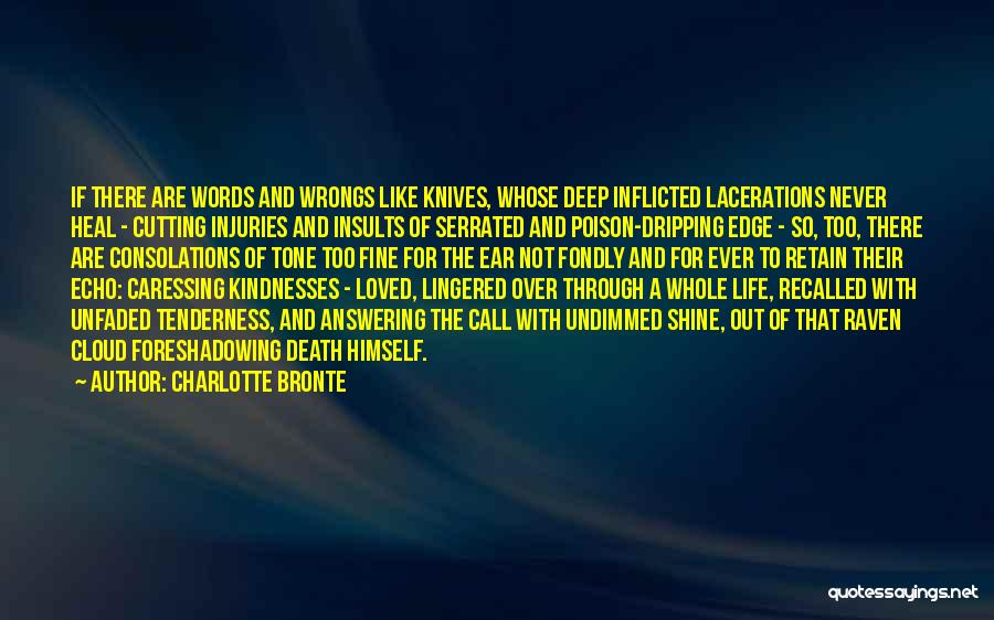 Charlotte Bronte Quotes: If There Are Words And Wrongs Like Knives, Whose Deep Inflicted Lacerations Never Heal - Cutting Injuries And Insults Of